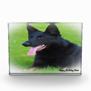 German Shepard Dog. Photo Block