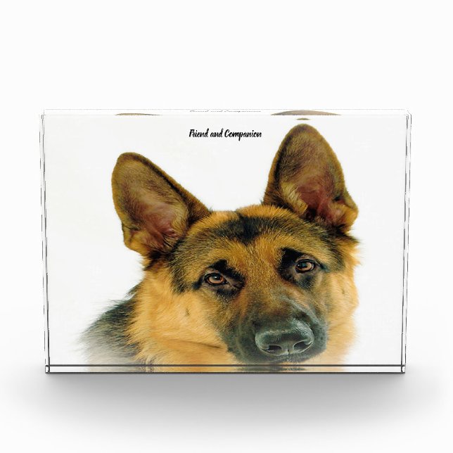 German Shepard Dog. Photo Block (Front)