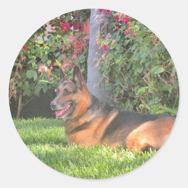 German Shepard Gifts Classic Round Sticker (Front)