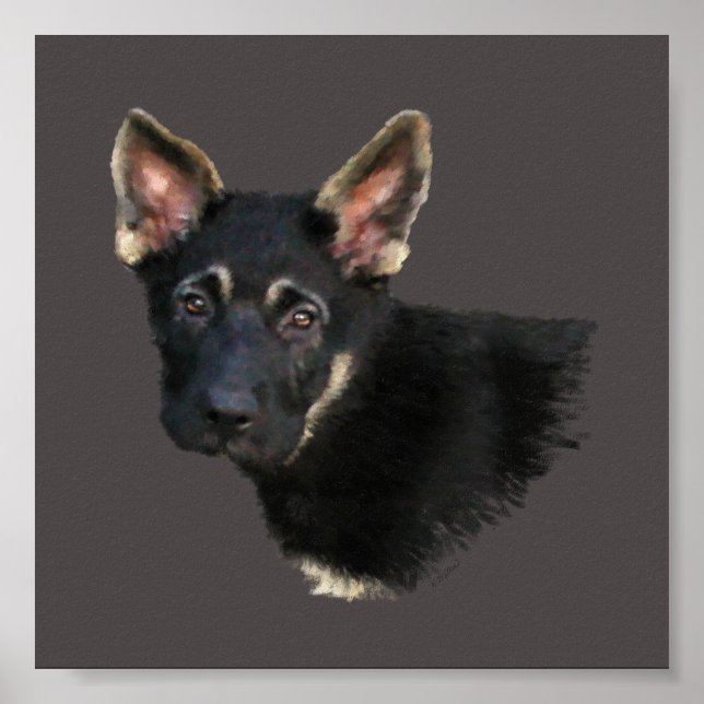 German Shepard Puppy Poster (Front)