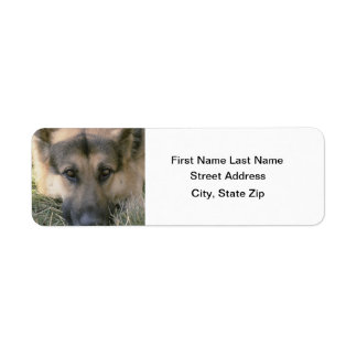 German Shepard Return Address Label