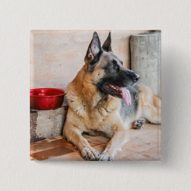 German Sheperd Resting By Water Basin 15 Cm Square Badge (Front)
