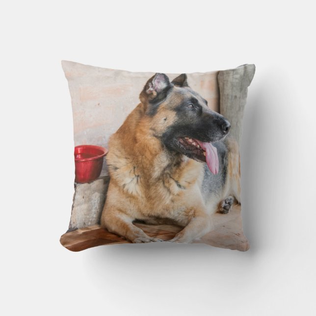 German Sheperd Resting By Water Basin Cushion (Front)