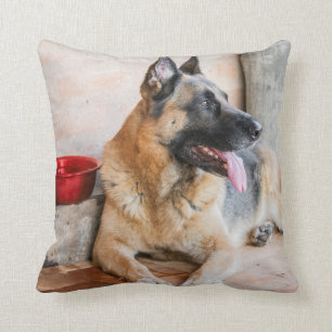 German Sheperd Resting By Water Basin Cushion