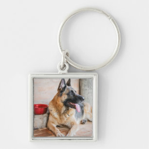 German Sheperd Resting By Water Basin Key Ring