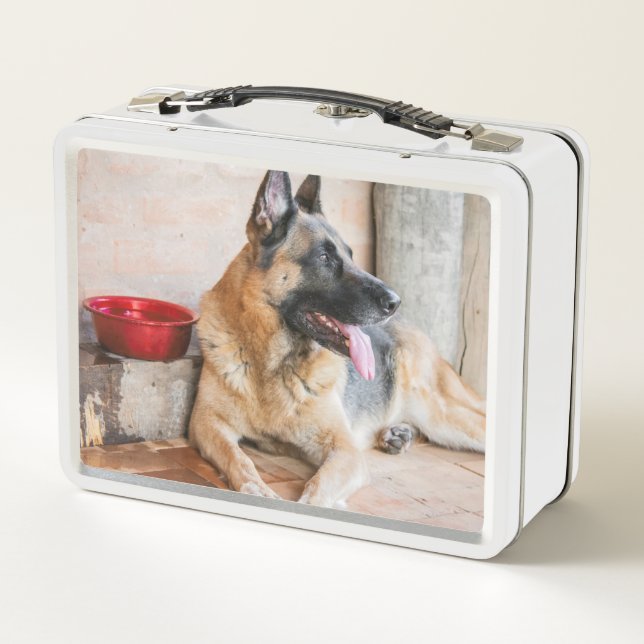 German Sheperd Resting By Water Basin Metal Lunch Box (Back)