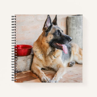 German Sheperd Resting By Water Basin Notebook
