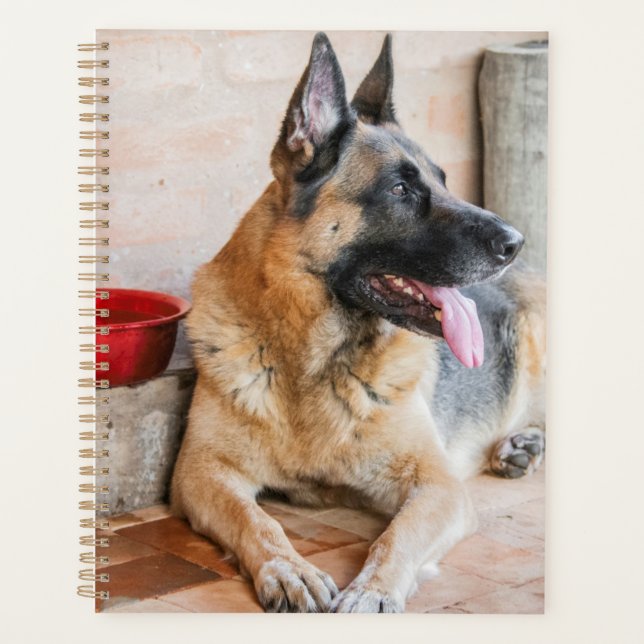 German Sheperd Resting By Water Basin Planner (Front)