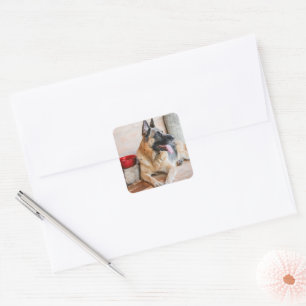 German Sheperd Resting By Water Basin Square Sticker