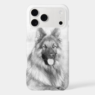 German Shephard Dog