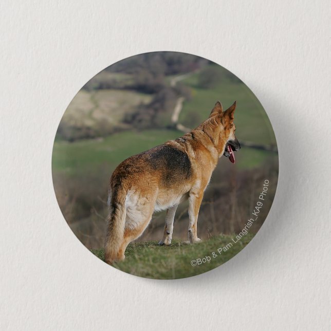 German Shephard Looking Down Hill 6 Cm Round Badge (Front)