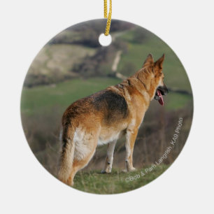 German Shephard Looking Down Hill Ceramic Tree Decoration