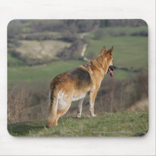 German Shephard Looking Down Hill Mouse Pad