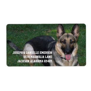 German Shepherd
