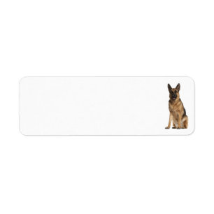 German Shepherd Address Label Return Address Label
