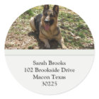 German Shepherd Address Labels