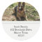 German Shepherd Address Labels