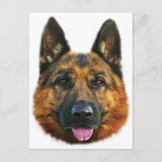 German Shepherd Alsatian K-9 Dog Postcard