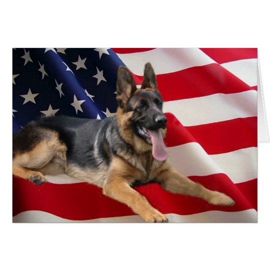 German Shepherd America Flag Card