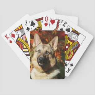 German Shepherd Autumn Leaves Playing Cards