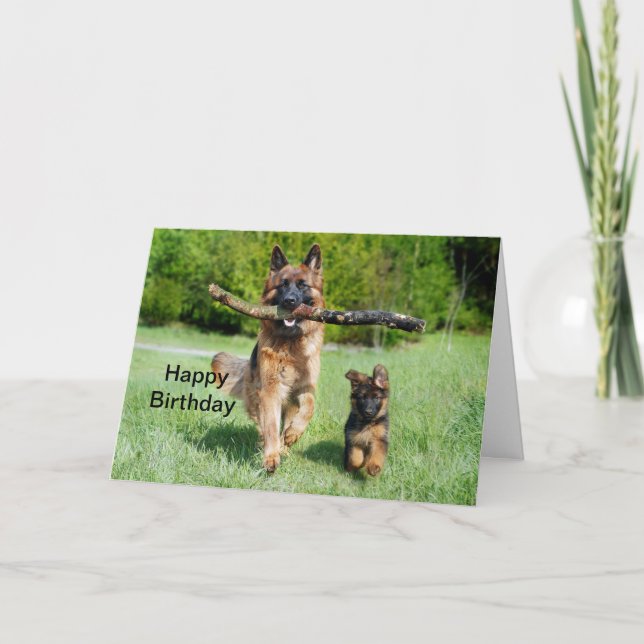 German Shepherd Birthday Card (Front)