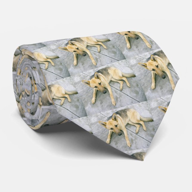 german shepherd black and cream laying tie (Rolled)