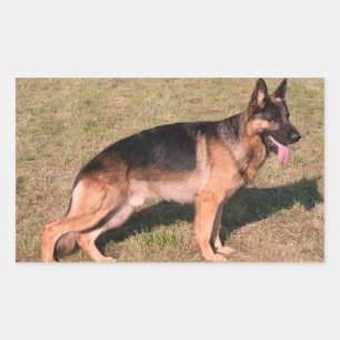 German Shepherd Black And Tan Full Rectangular Sticker
