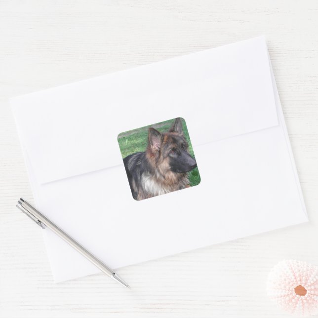 German Shepherd Black and Tan Square Sticker (Envelope)
