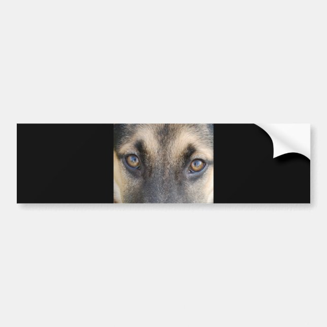 German Shepherd Bumper Sticker (Front)