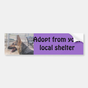 German Shepherd Bumper Sticker