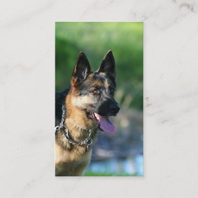 German Shepherd business cards (Front)