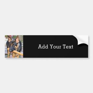 German Shepherd by Shirley Taylor Bumper Sticker