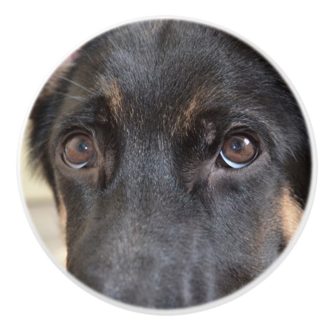 German Shepherd by Shirley Taylor Ceramic Knob (Front)