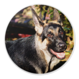 German Shepherd by Shirley Taylor Ceramic Knob