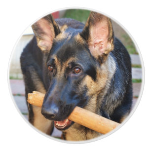 German Shepherd by Shirley Taylor Ceramic Knob
