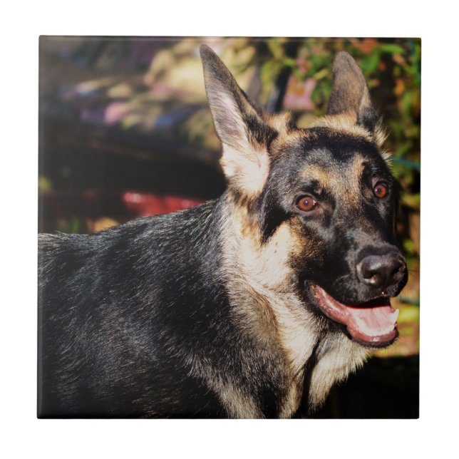 German Shepherd by Shirley Taylor Ceramic Tile (Front)