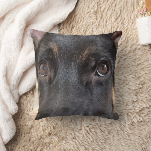 German Shepherd by Shirley Taylor Cushion