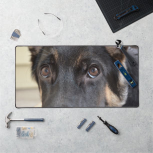 German Shepherd by Shirley Taylor Desk Mat