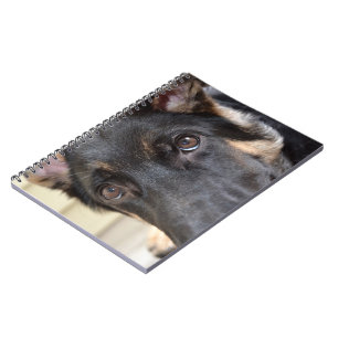 German Shepherd by Shirley Taylor Notebook