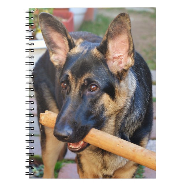 German Shepherd by Shirley Taylor Notebook (Front)