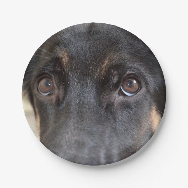 German Shepherd by Shirley Taylor Paper Plate (Front)