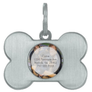 German Shepherd by Shirley Taylor Pet Name Tag