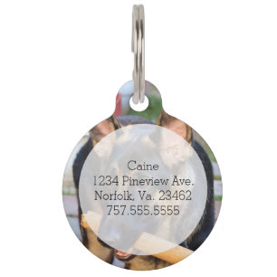 German Shepherd by Shirley Taylor Pet Tag