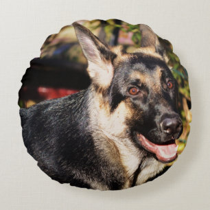 German Shepherd by Shirley Taylor Round Cushion