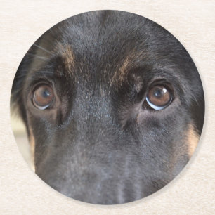 German Shepherd by Shirley Taylor Round Paper Coaster