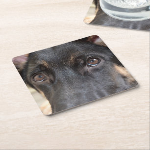 German Shepherd by Shirley Taylor Square Paper Coaster