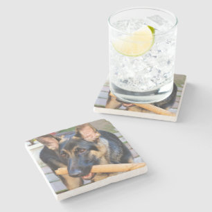 German Shepherd by Shirley Taylor Stone Coaster