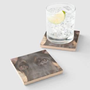 German Shepherd by Shirley Taylor Stone Coaster