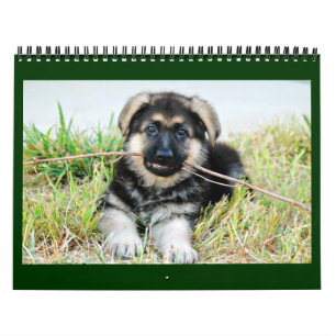 German Shepherd Calendar