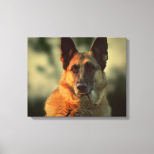 German Shepherd Canvas Print